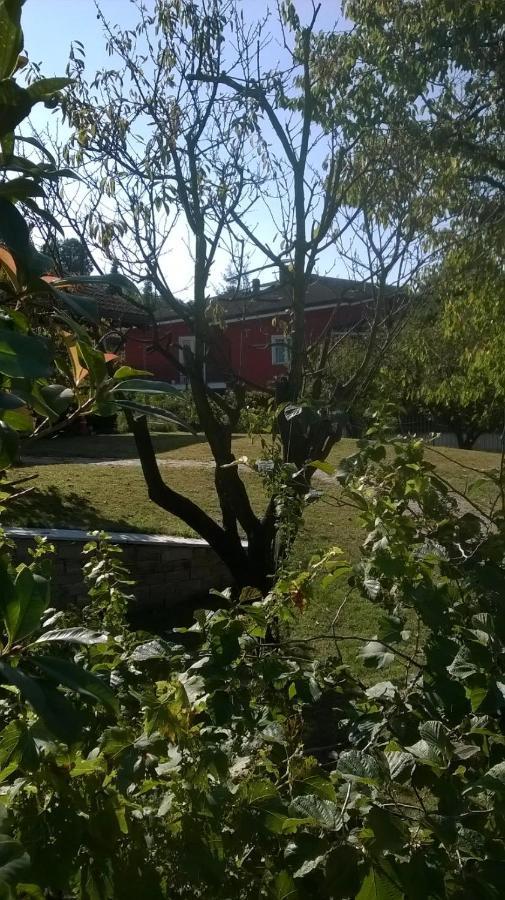 'L Sass Acomodação com café da manhã Borgomanero Exterior foto